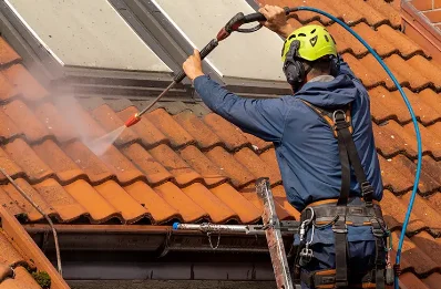 Démoussage et hydrofuge de toiture à Barnay